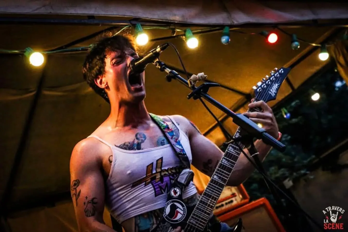 photographie artiste concert