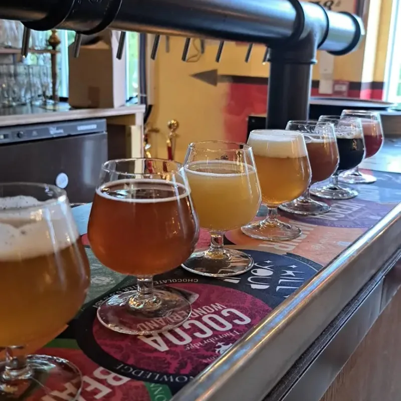 photographie bière comptoir